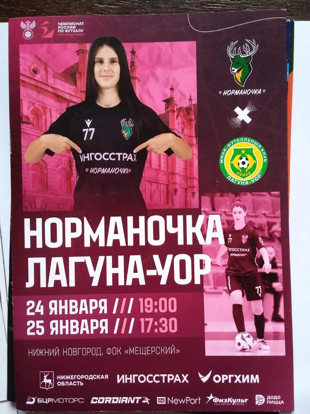 Норманочка (Нижний Новгород) - Лагуна-УОР (Пенза). 24-25 января 2025.