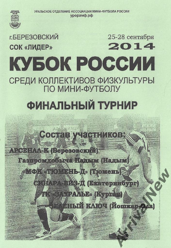 2014 - Кубок России среди КФК - Финал (Курган, Екатеринбург, Йошкар-Ола и др.)