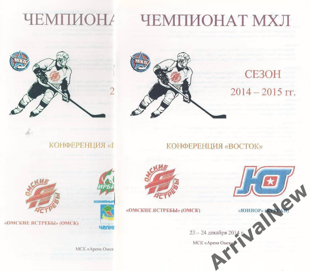 2014/2015 - Омские Ястребы (Омск) - Юниор (Курган)