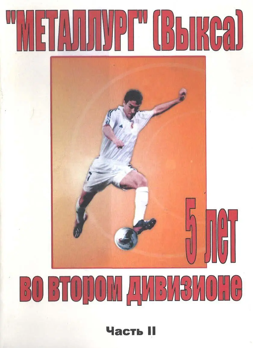Металлург Выкса. 5 лет во втором дивизионе. Часть 2 (2002-2003)