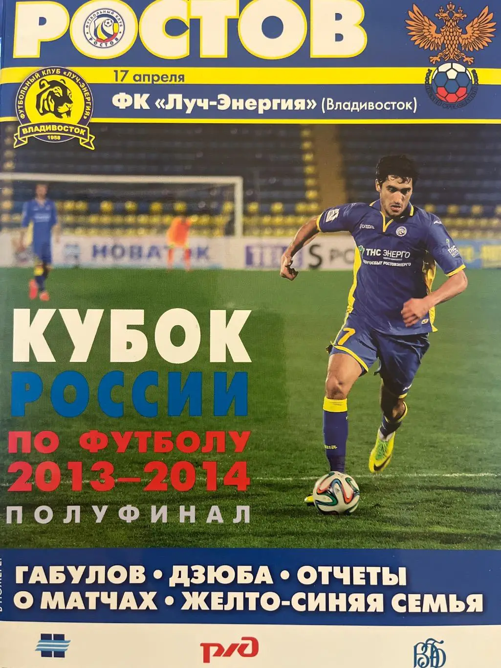 ФК Ростов Ростов-на-Дону - Луч Владивосток 2014 кубок