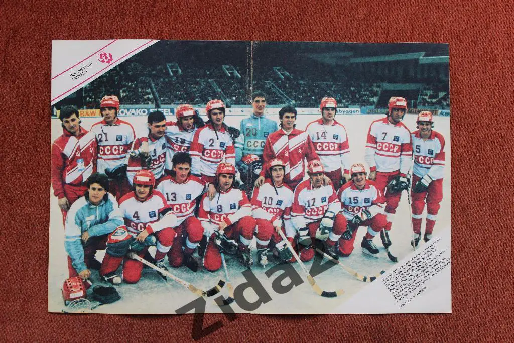 Хоккей с мячом. Сборная СССР - чемпион мира 1989 г. Постер .