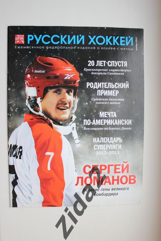 Хоккей с мячом. Русский хоккей, ноябрь 2012 г.