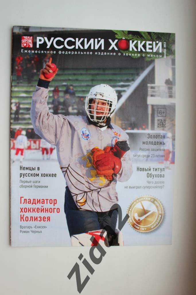 Хоккей с мячом. Русский хоккей, декабрь 2013 г.