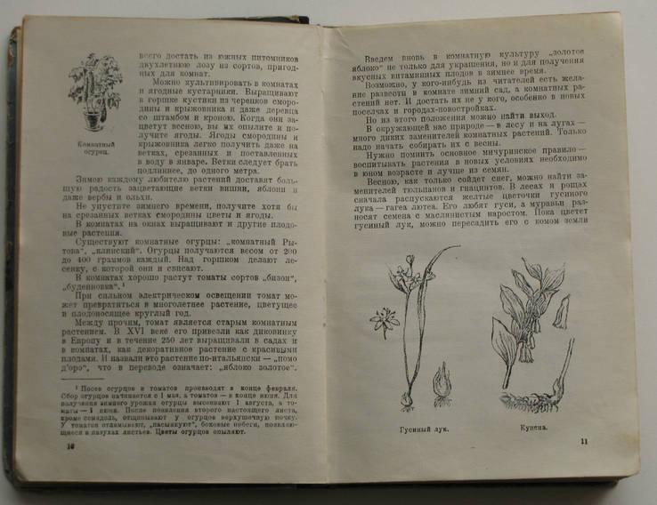 Верзилин Н., Путешествия с домашними растениями. 1949г. 3