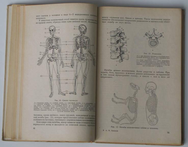 Кабанов А. Учебник анатомии и физиологии человека для VIII класса сред 4