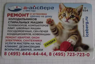 Дисконтная карта магнит А-Айсберг №654 Котик