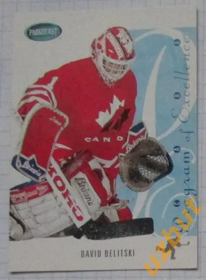 Карточка НХЛ Дэвид Белицкий Канада #se251 David Belitski Excellens 1994