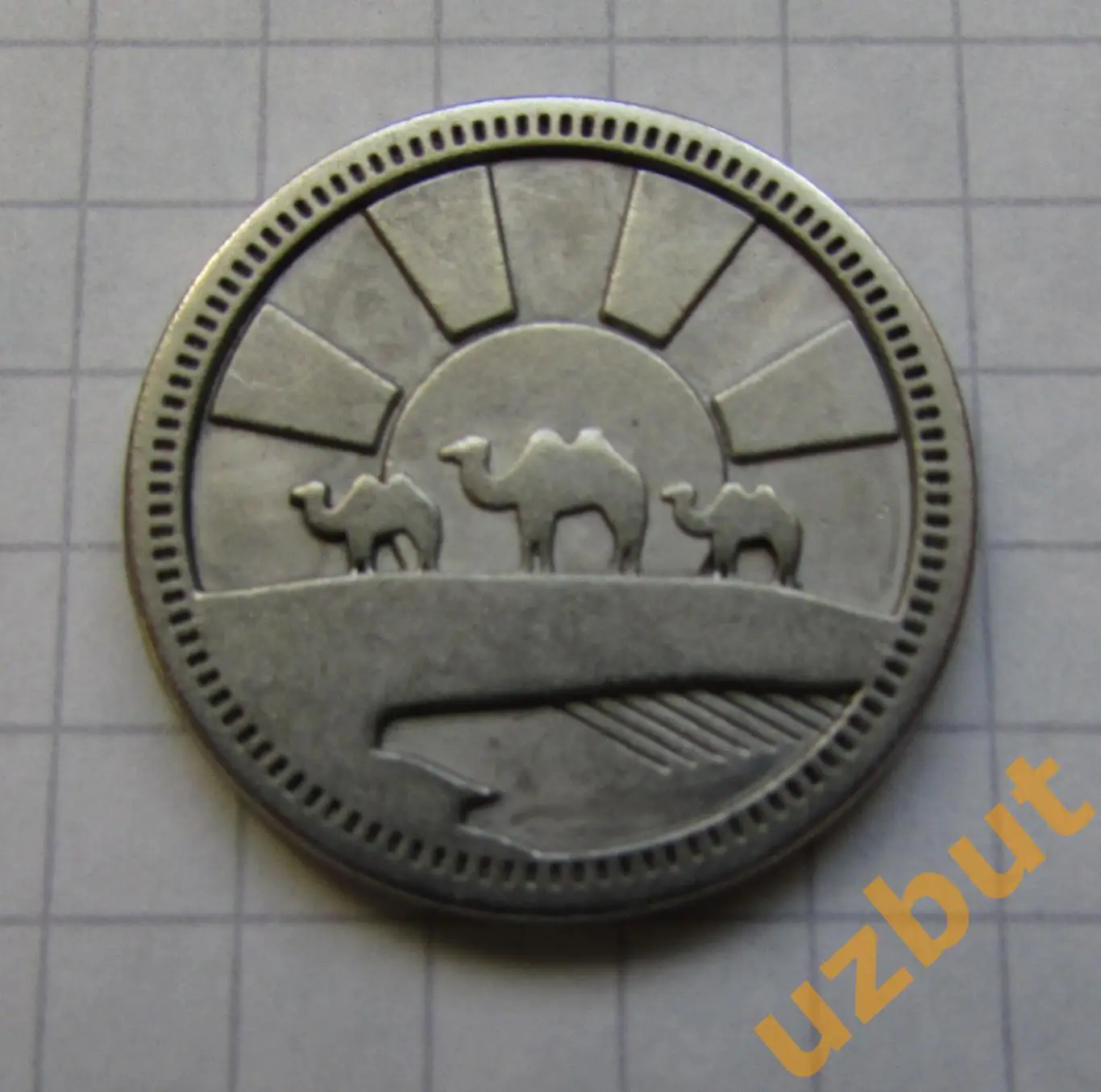 Игровая монета жетон Пунт магазин Сокровищот Пятерочки 2023 1