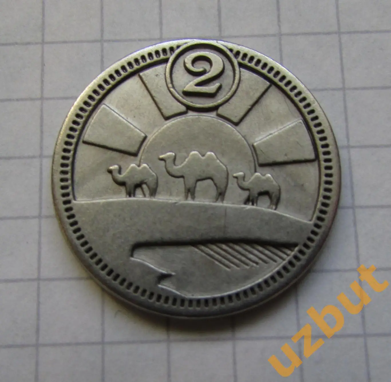 Игровая монета жетон Пунт магазин Сокровищот Пятерочки 2023