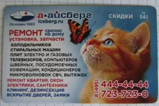 Дисконтная карта магнит А-Айсберг №541 Кот и бабочка