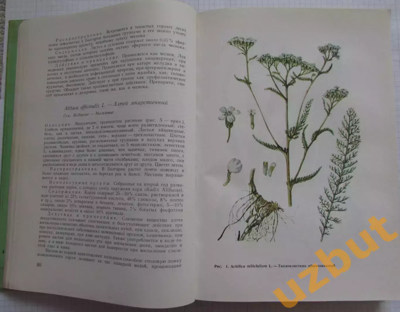 Иорданов Фитотерапия 1972 3