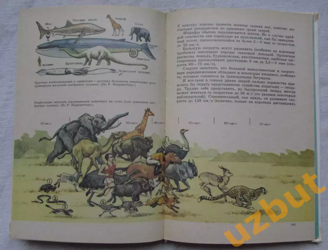 Книга для чтения по зоологии 1986 1