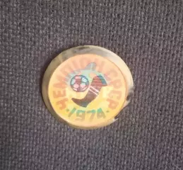 Динамо Киев Чемпион СССР по футболу 1974 Переливашка