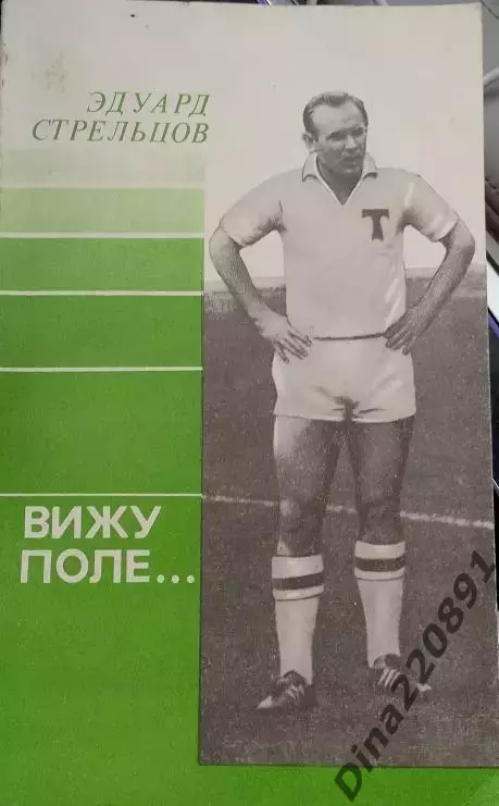 Александр Нилин, Эдуард Стрельцов. Вижу поле, 1991