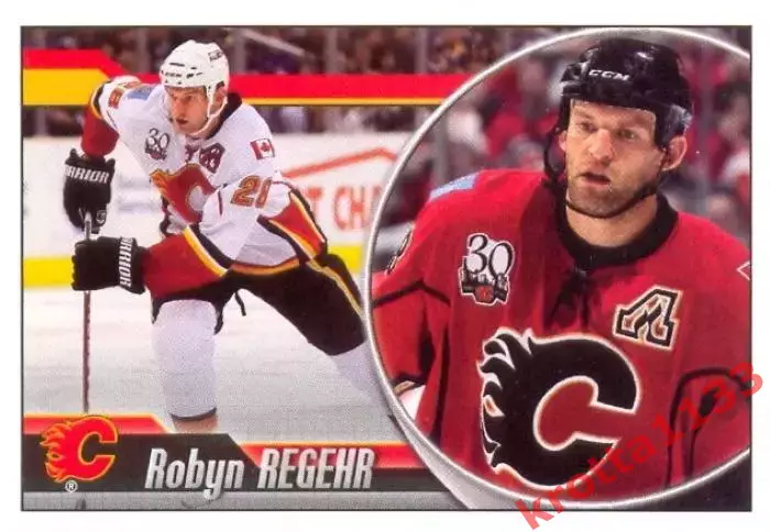 Наклейка #173 Robyn Regehr Calgary Flames для альбома PANINI NHL 2010-2011