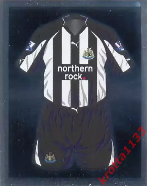 Наклейка #15 Newcastle United для альбома TOPPS Английская Премьер-Лига 2010-11