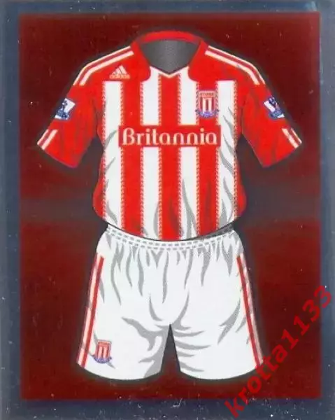 Наклейка #16 Stoke City для альбома TOPPS Английская Премьер-Лига 2010-2011