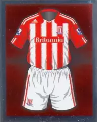 Наклейка #16 Stoke City для альбома TOPPS Английская Премьер-Лига 2010-2011