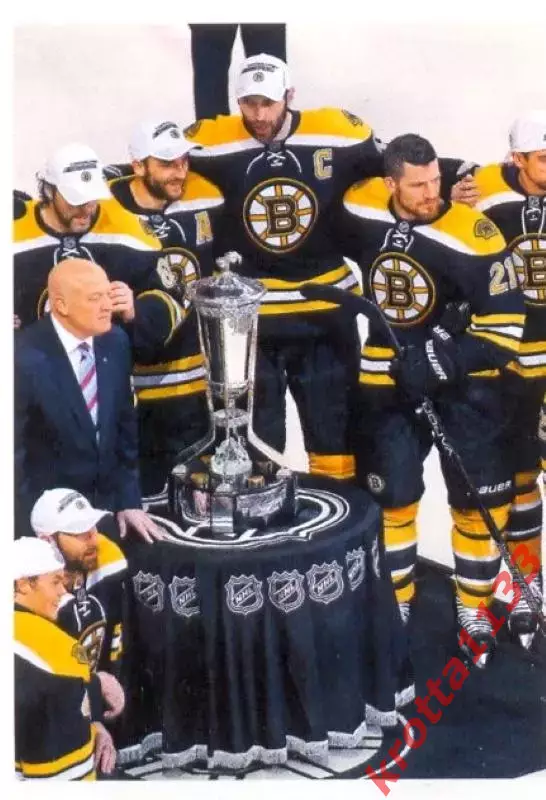 Наклейка #13 Eastern Conference Champions для альбома PANINI NHL 2013-2014