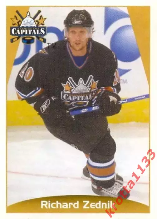 Наклейка #173 Richard Zednik Washington Capitals для альбома PANINI NHL 2006-07