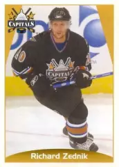 Наклейка #173 Richard Zednik Washington Capitals для альбома PANINI NHL 2006-07