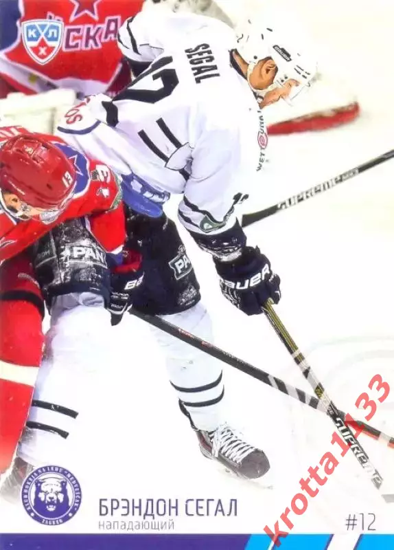Брэндон Сегал Медвешчак Загреб SeReal Карточки КХЛ 2014-2015