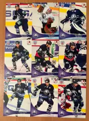 Медвешчак Загреб SeReal Карточки КХЛ 2013-2014