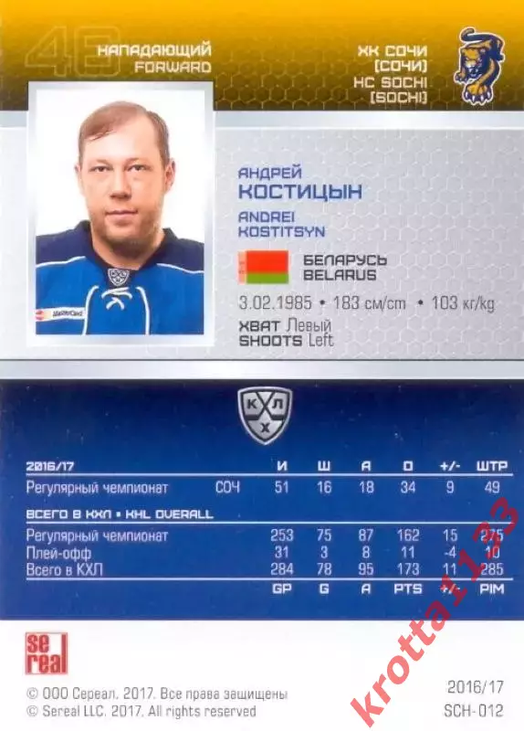 Андрей Костицын ХК Сочи SeReal Карточки КХЛ 2016-2017 1