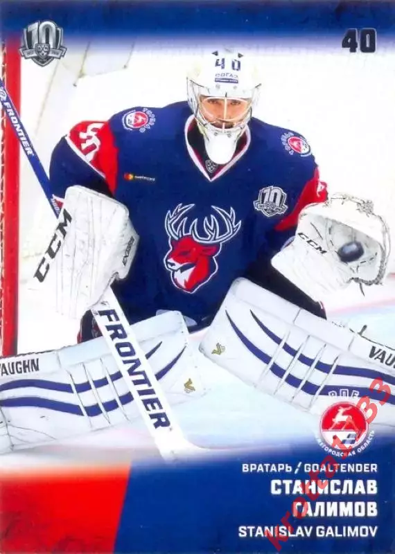 Станислав Галимов Торпедо Нижний Новгород SeReal Карточки КХЛ 2017-2018