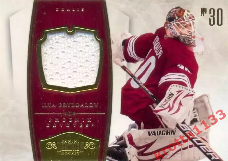 Ilya Bryzgalov Phoenix Coyotes PANINI Dominion Hockey 2010-2011