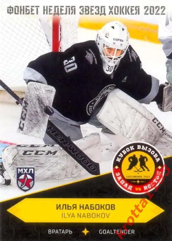 Илья Набоков Стальные Лисы Магнитогорск SeReal Карточки КХЛ 2022-2023 Premium