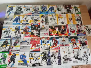 46 автографов КХЛ