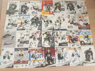 28 живых автографов ХК Трактор