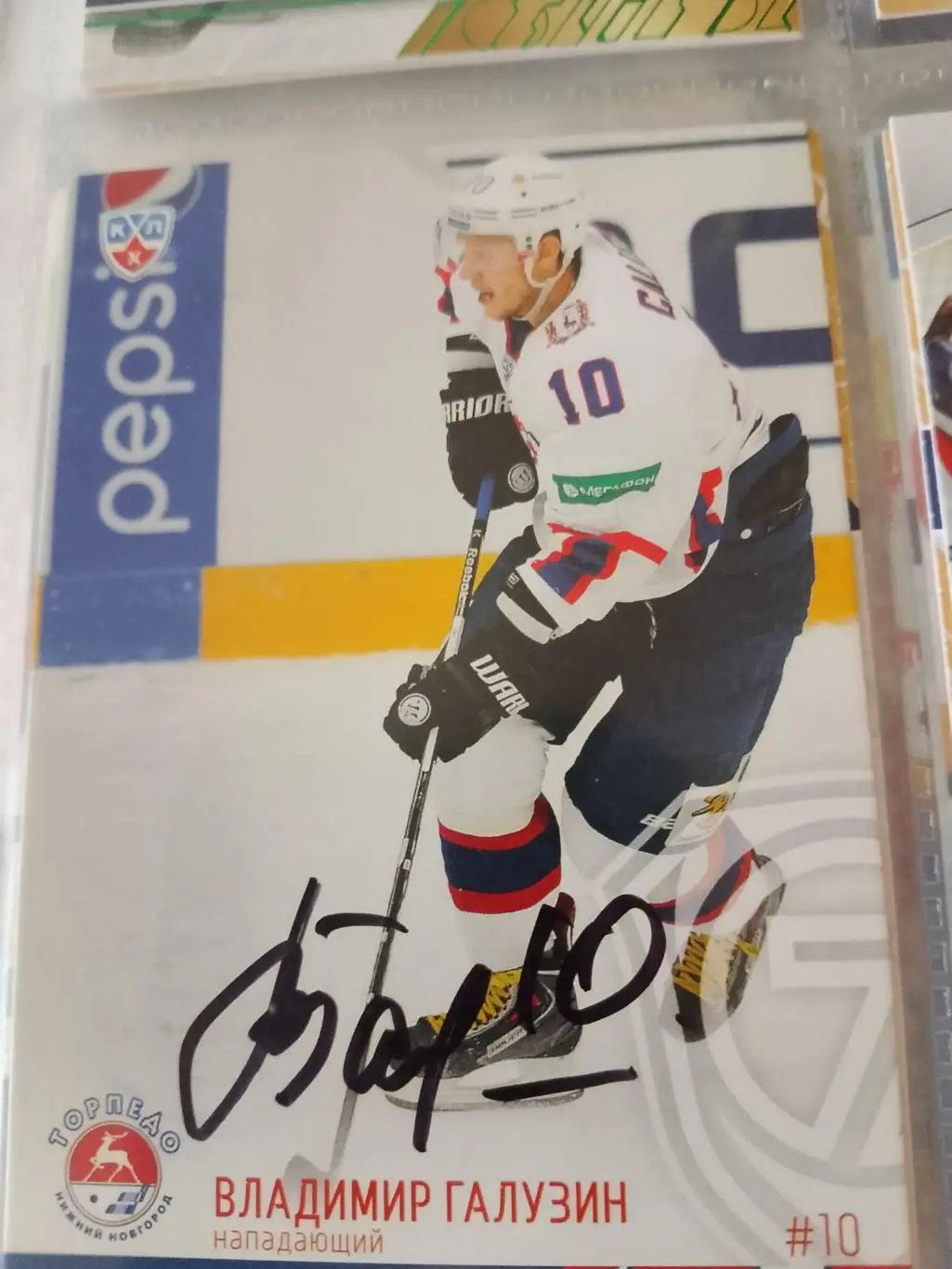 Автограф Владимир Галузин