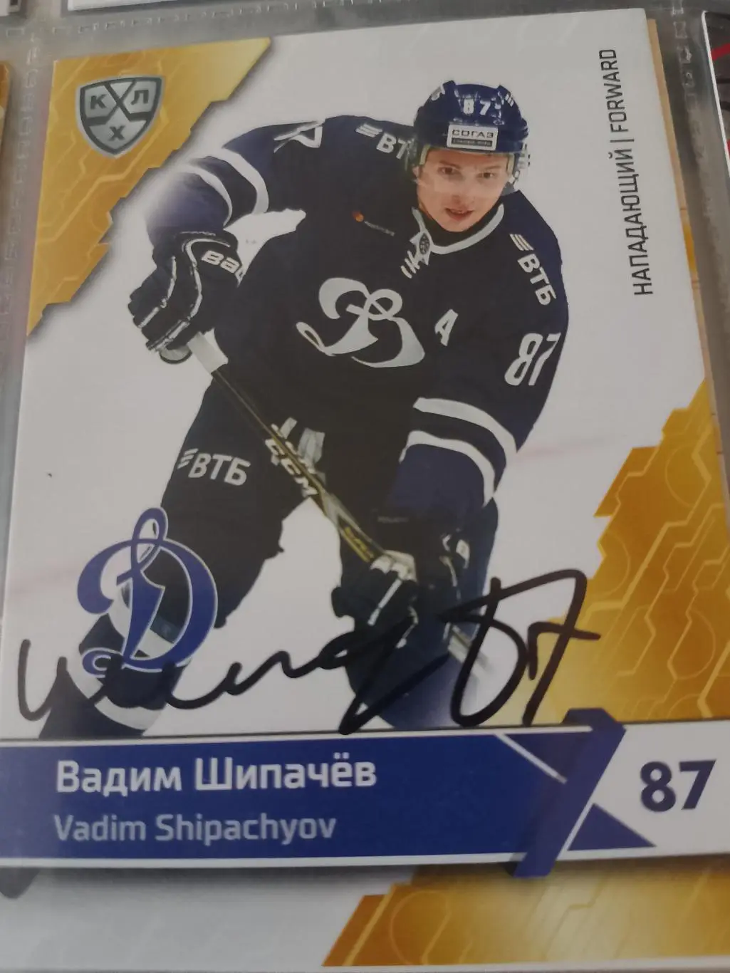 Автограф Вадим Шипачев