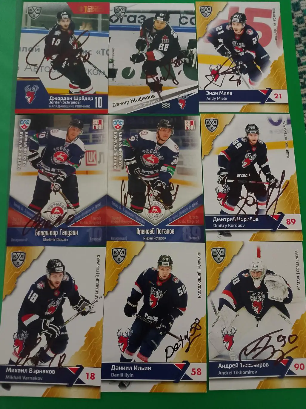 9 автографов ХК Торпедо Нижний Новгород