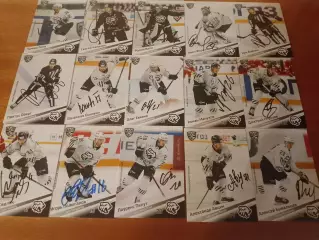 15 разных живых автографов игроков ХК Трактор