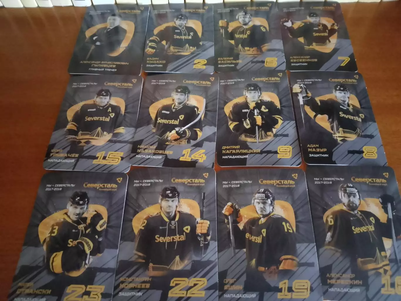 29 карт ХК Северсталь