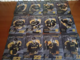 29 карт ХК Северсталь