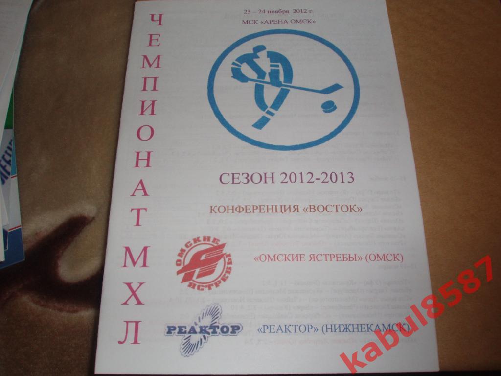 Ом.Ястребы-Реактор(Нижнекамс к)) 23-24.11.2012г.