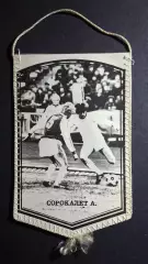 Вимпел О.Сорокалет Динамо Київ - Динамо Мінськ 1982