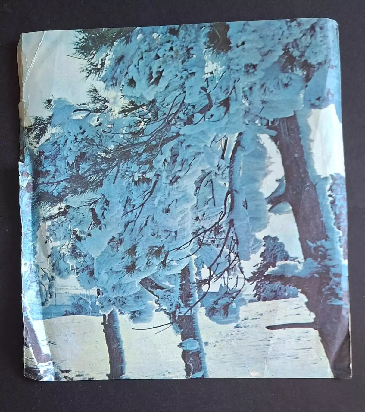 Вирізка з журналу Україна Динамо Київ чемпіон та володар Кубку СРСР 1974 1