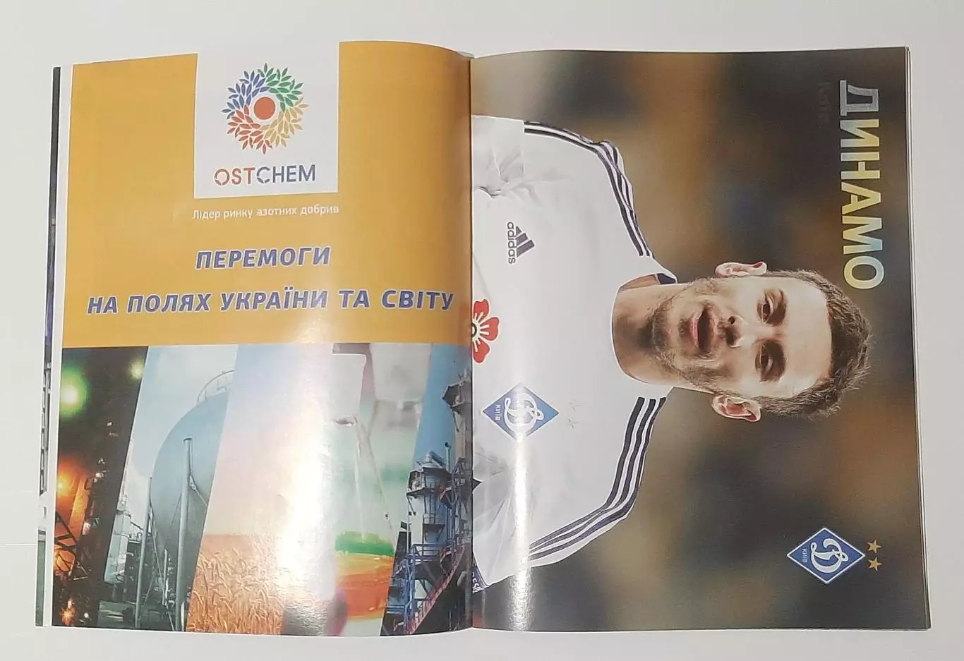 Динамо Київ 2015 постер Рибалка,Антунеш 4