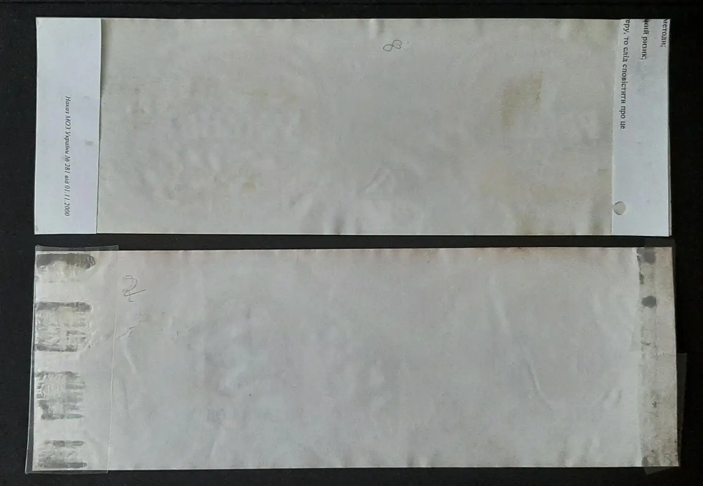 Етикетки пивні Рогань Веселий монах2 шт. Об'єм - 1л. 1