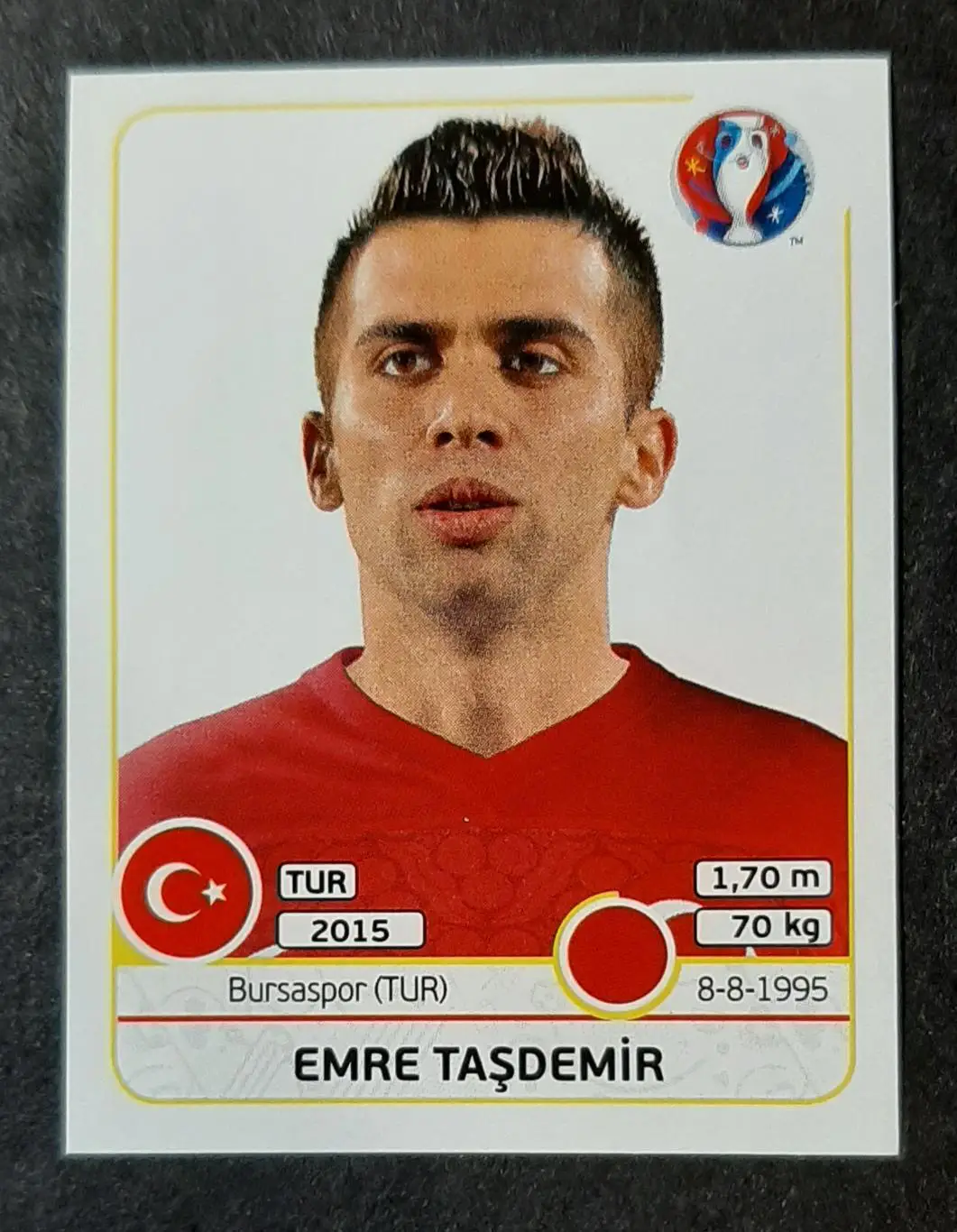Наклейка Panini Tasdemir Туреччина #413 ЄВРО 2016