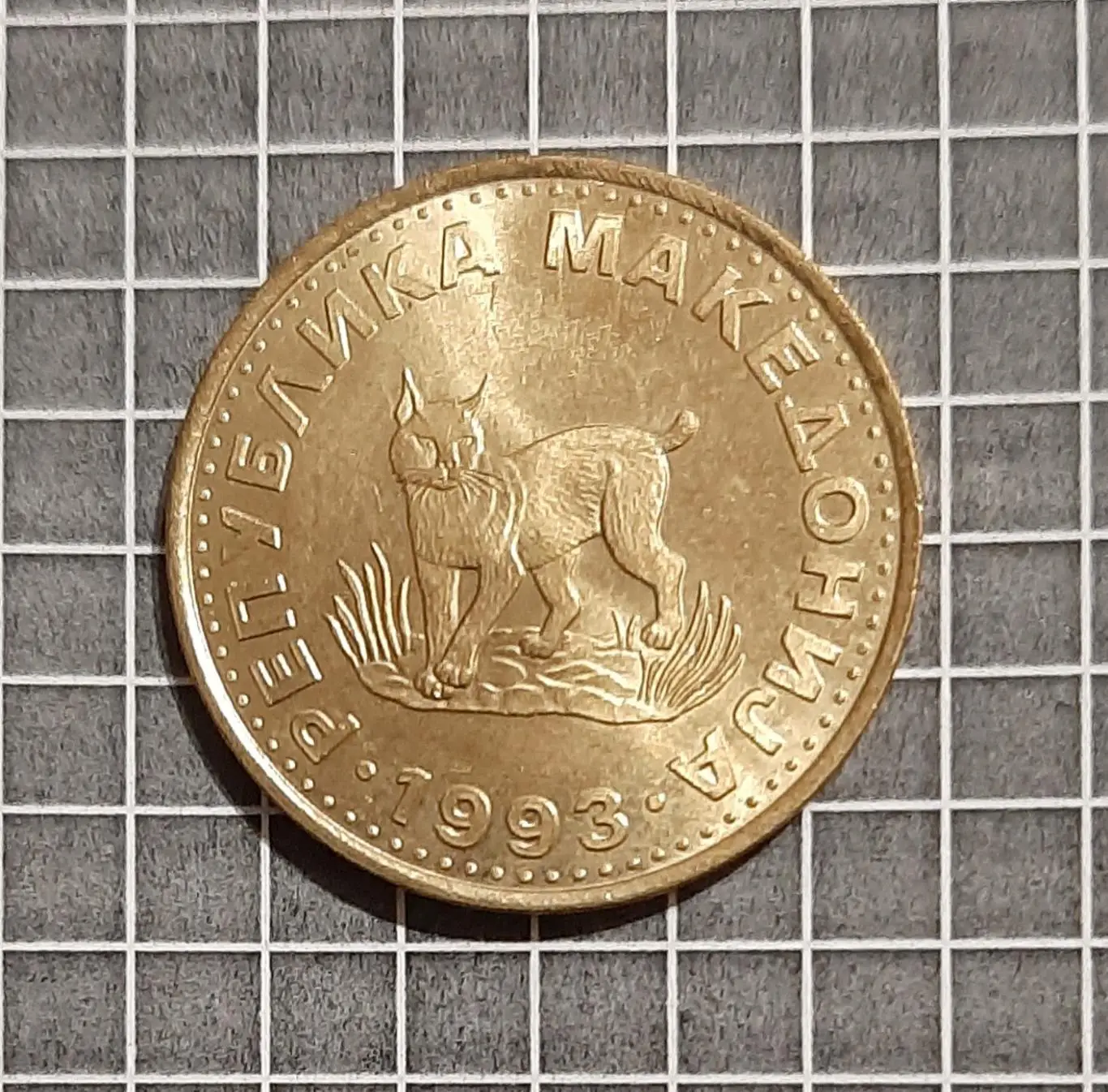 Монета 5 денарів Македонія 1993 фауна рись 1