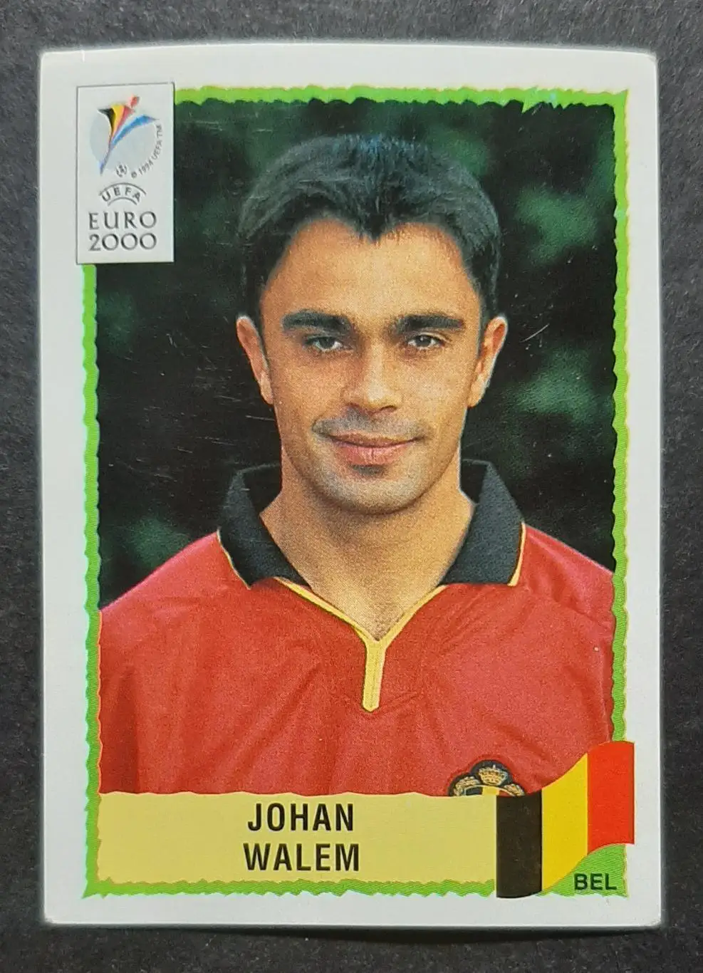 Наклейка Panini EURO 2000 Johan Walem / Йоган Валем Бельгія # 106