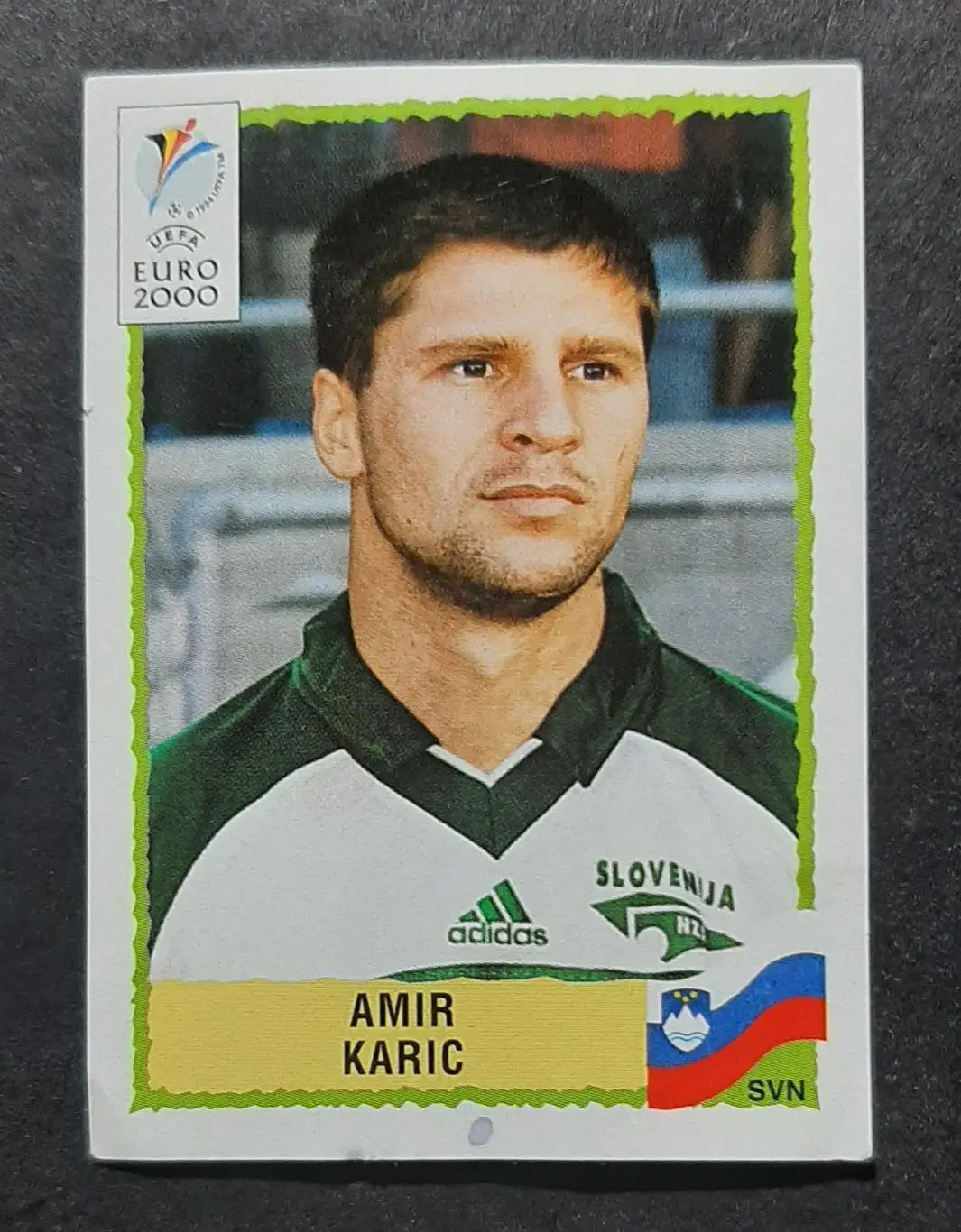 Наклейка Panini Amir Karic / Амир Карич #263 Словенія EURO 2000