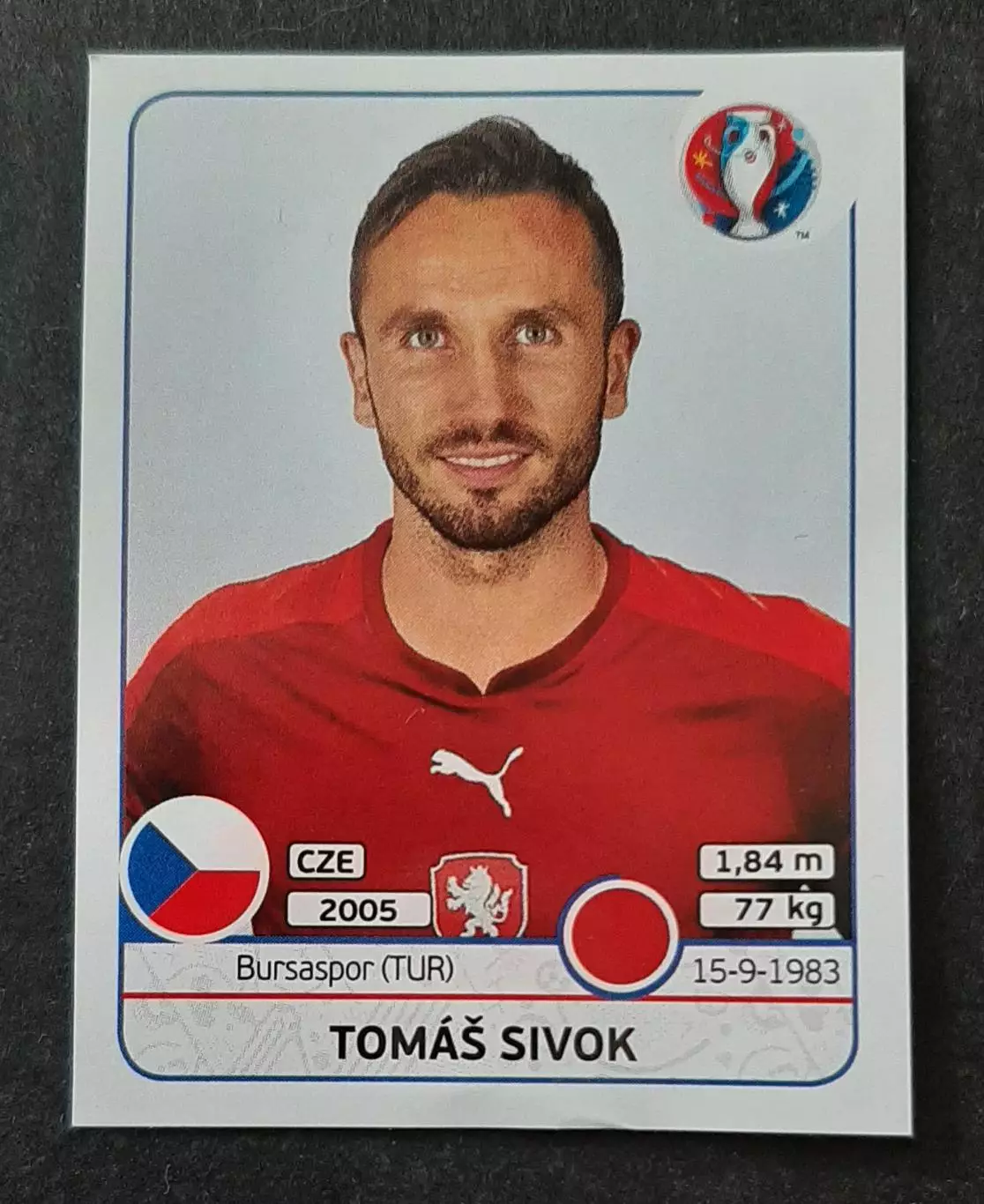 Наклейка Panini Tomas Sivok #392 EURO 2016